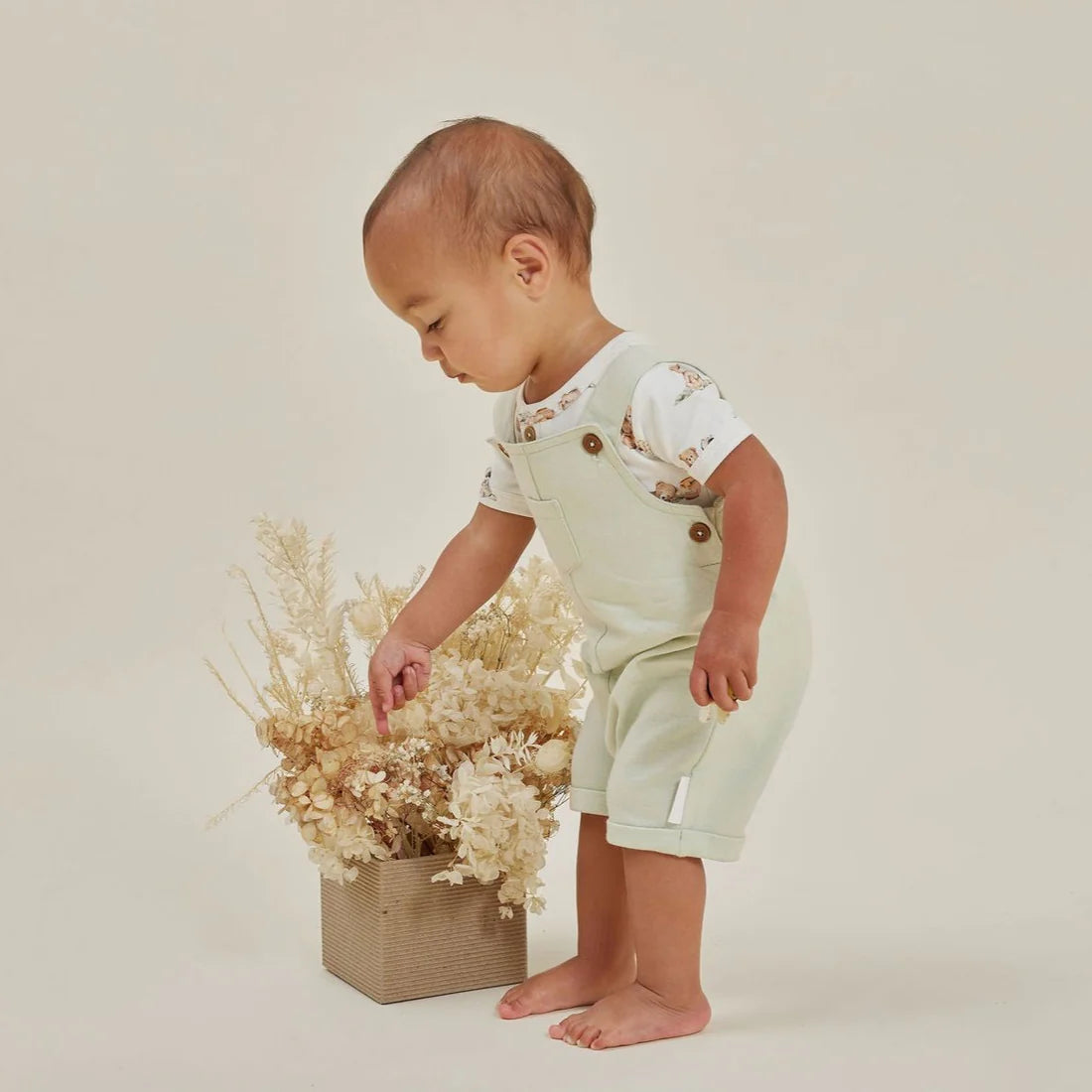 Aster & Oak / Overalls - Sage Chambray