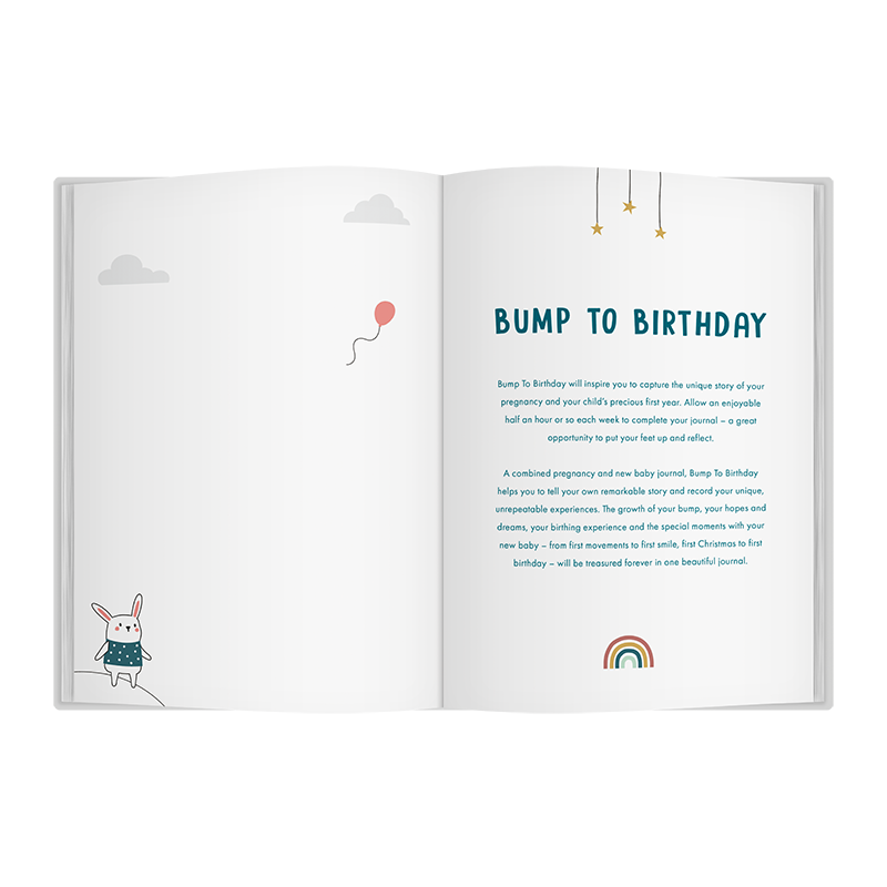 Bump To Birthday Journal