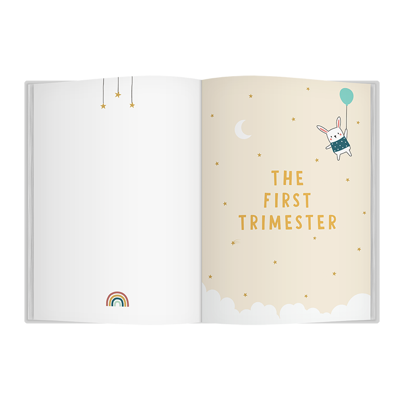 Bump To Birthday Journal