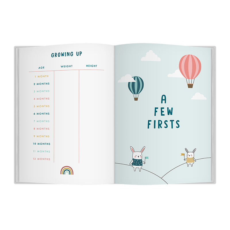 Bump To Birthday Journal