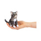 Folkmanis Puppets / Mini Cat Finger Puppet
