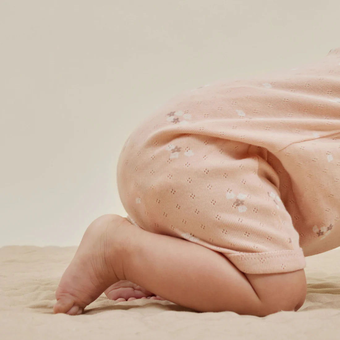 Aster & Oak / Petal Pointelle / Zip Romper