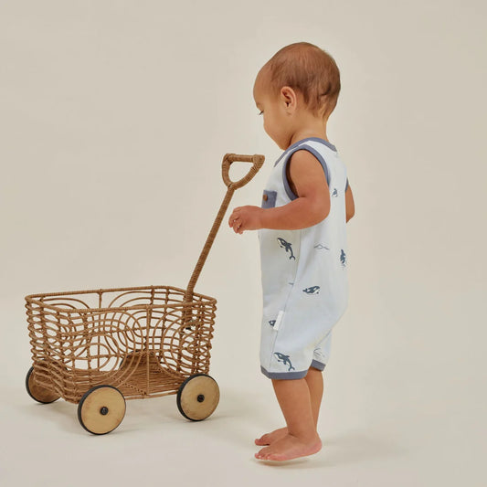 Aster & Oak / Orca / Henley Romper