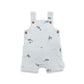 Aster & Oak / Orca / Overalls