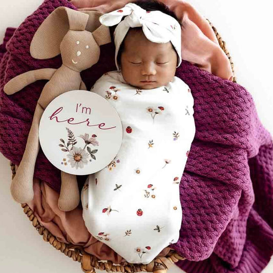 Snuggle Hunny / Snuggle Swaddle Set - Ladybug