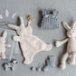Nana Huchy / Bonnie Bunny Hoochy Coochie
