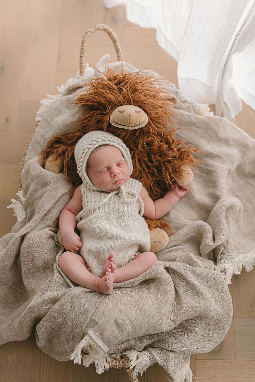 Nana Huchy Henry the Highland Cow
