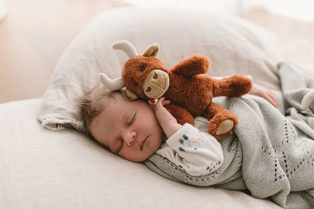 Nana Huchy / Henry the Highland Cow Rattle