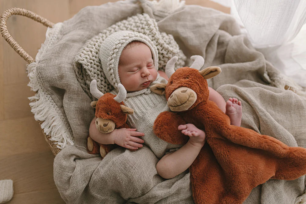 Nana Huchy / Henry the Highland Cow Rattle