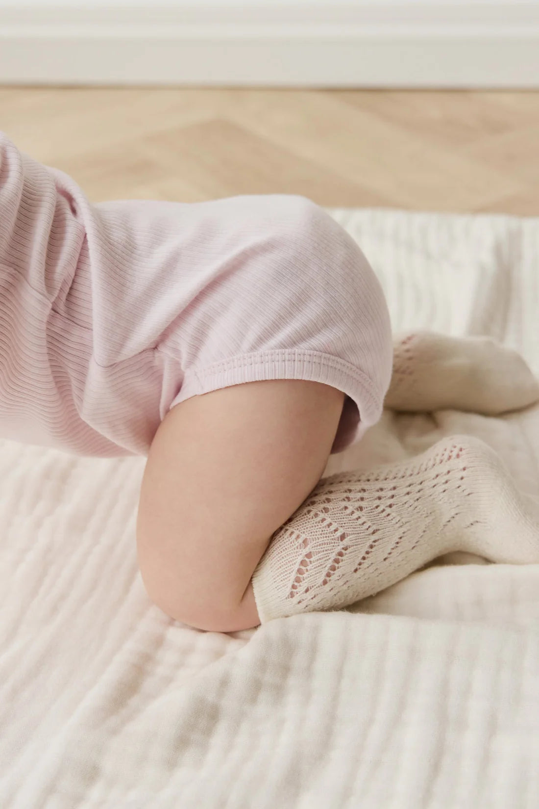 Jamie Kay / Cotton Modal Darcey Rib Tee Bodysuit - Cassia