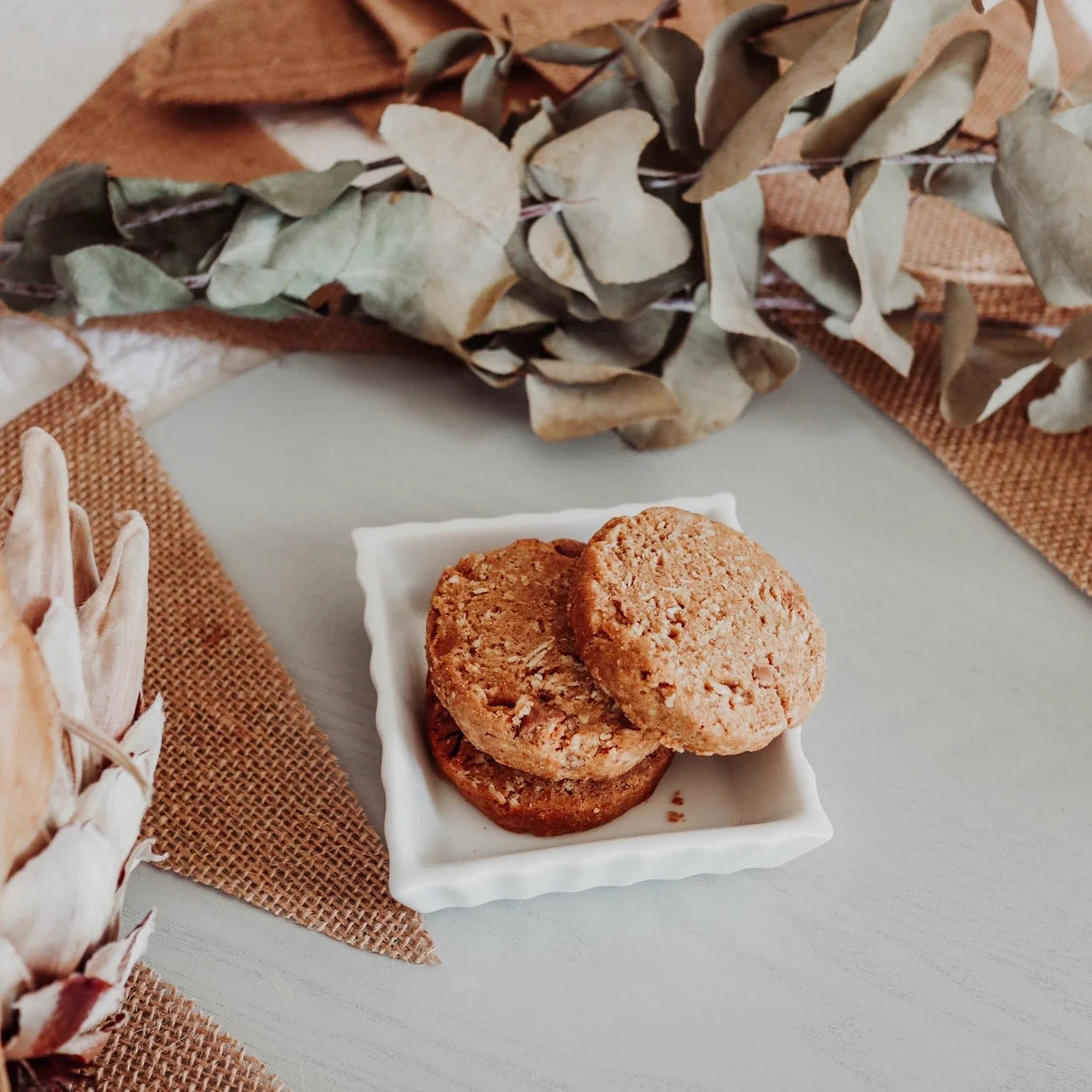 Milky Goodness / Chocolate Chip Lactation Cookies