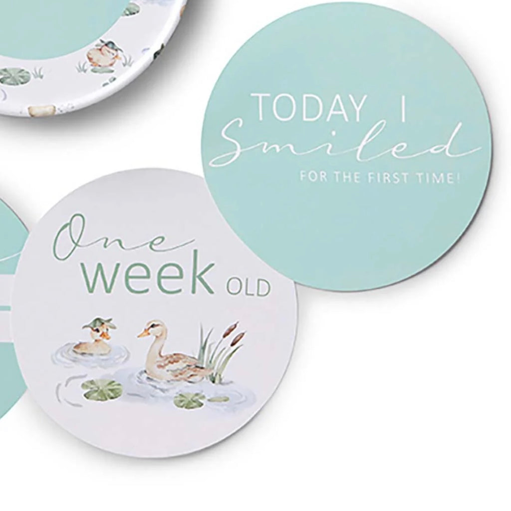 Snuggle Hunny / Reversible Milestone Cards - Duck Pond