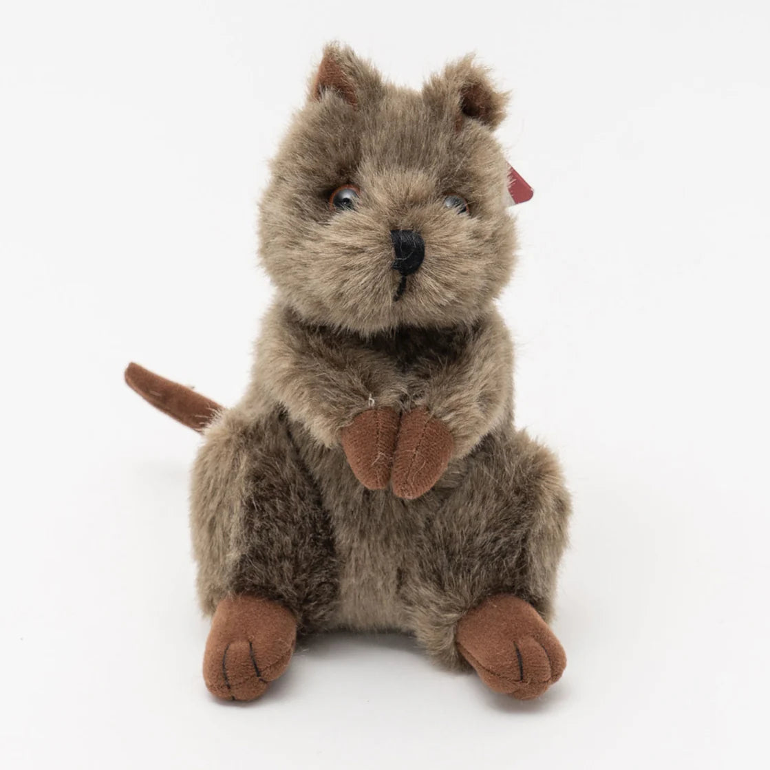 Dinki Di / Chuckles the Quokka 16cm