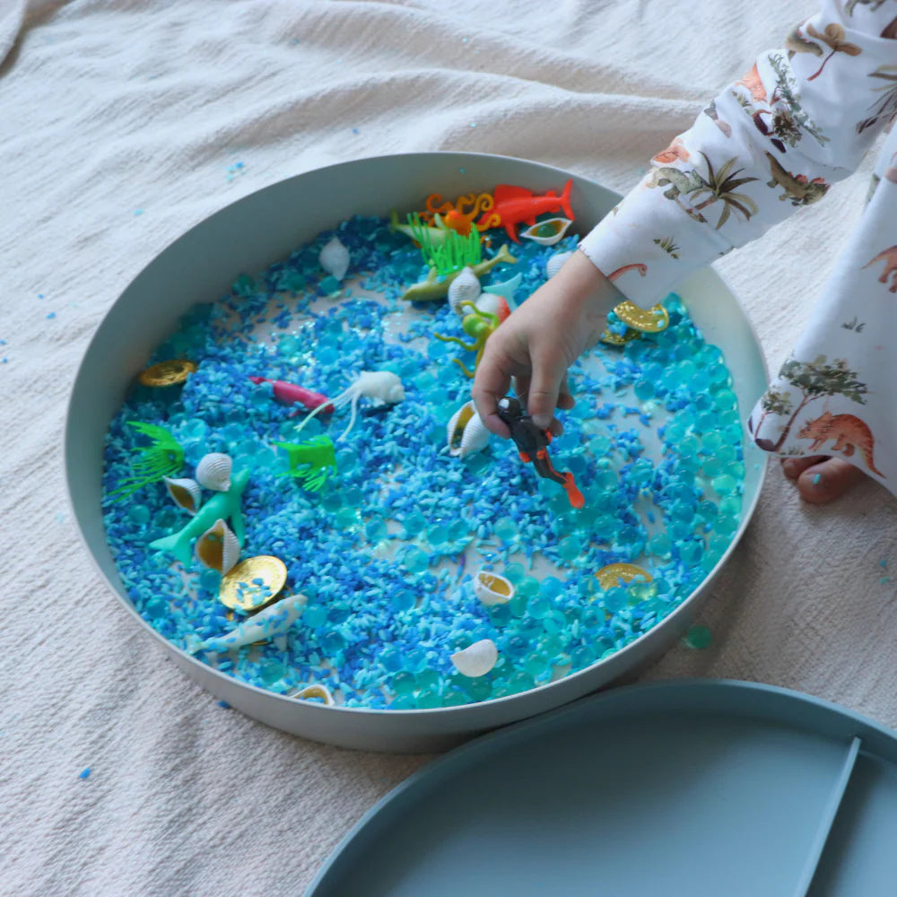 Jellystone / Tray Play