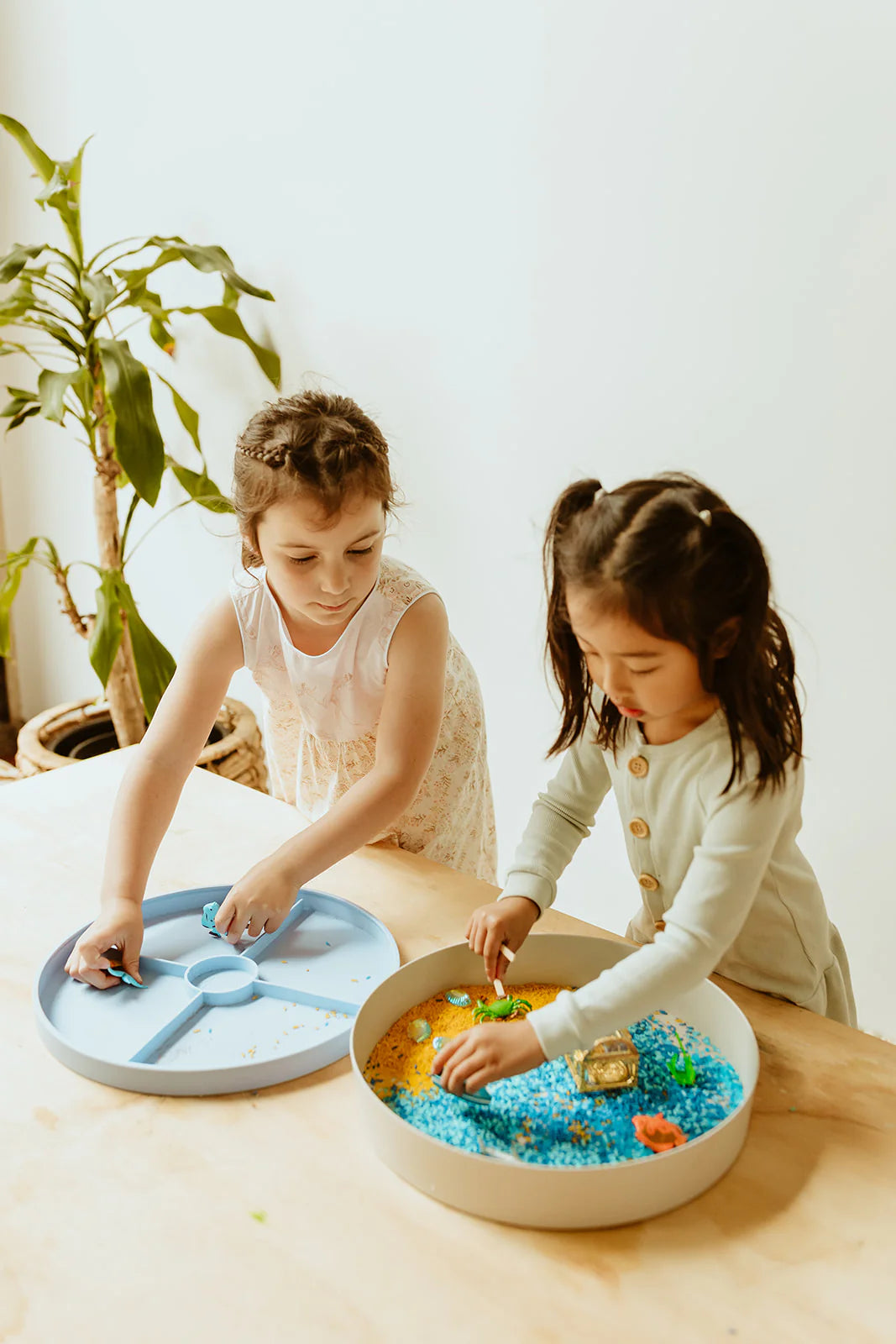 Jellystone / Sensory Kits