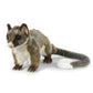 Hansa / Brush Tail Possum Standing 21cm