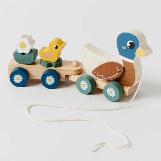 Zookabee / Duck Train Set
