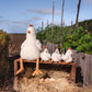 Nana Huchy / Henrietta the Hen Rattle