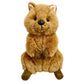 DinkDi / Dimples The Quokka - 15cm