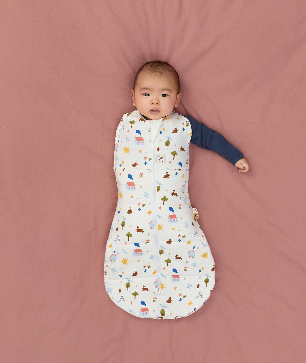ergoPouch / Cocoon Swaddle Bag 3.5 TOG - Daydream