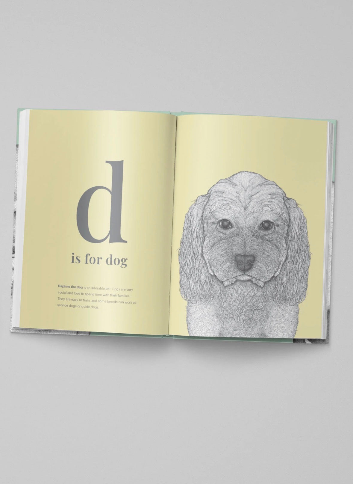 Dots By Donna - The Animal Alphabet ABC