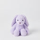Jiggle & Giggle / Plush Bunny