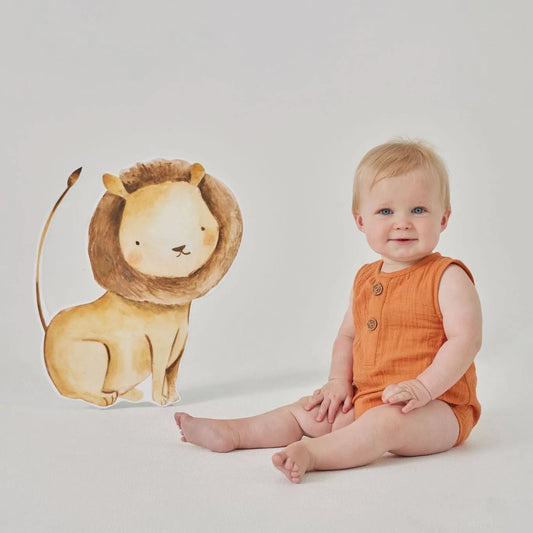 Baby Wearing Tiny twig Caramel Bubble Romper