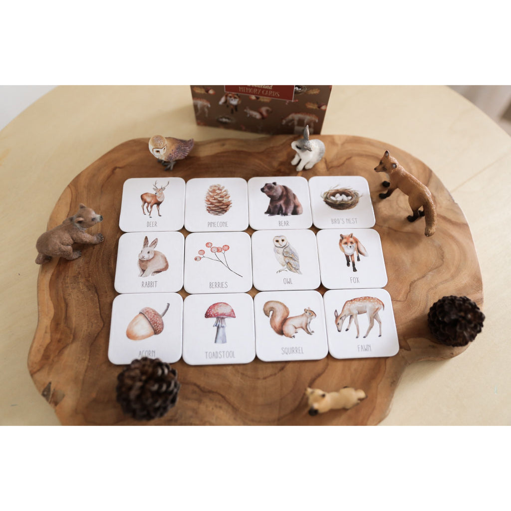 Modern Monty / Memory Card Game